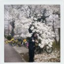 ENZOBLUES • 엔조블루스 픽셀 로고 베이직 백팩 핑크 후기𓂂 𓈒𓏸🎀