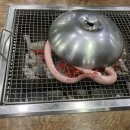 살아있는 꼼장어 - 김해시 | 살아있는 꼼장어