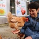진정농장