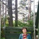 평창그린힐리조트 이미지