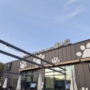 한계울경로당 | 춘천 발바닥(애견카페) N번째 다녀온 후기
