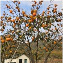 강릉힐링타임펜션 이미지