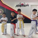 코리아 블랙벨트 센타 이미지