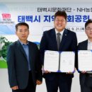 NH농협은행태백시지부 이미지