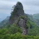 장춘당약국 이미지