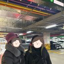 A490 | 2월 첫째 주