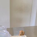 큐티퍼피 | 이태원 카페 추천 녹사평역 데이트코스 해피퍼피하우스