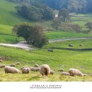 수양목장 이미지