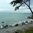 가천초등학교 이미지