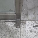 테크노대로 이미지