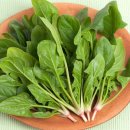 시금치 이미지