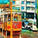 한국행정사 이미지