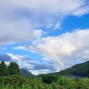 삼돌이참숯불 | 또 밀린 일상 이야기(길다 길어)