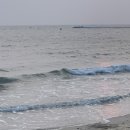 조개패거리 이미지