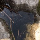 옥천보건지소 이미지