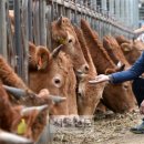 황우농장 이미지