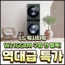 w-21 | LG 워시타워 W21GGAM 특징과 단점 후기 구입 전 필독!
