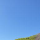 동명산소 이미지