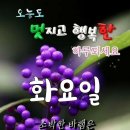 5월4일 뉴스브리핑 이미지