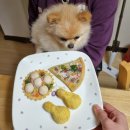 댕가앤쿡 이미지