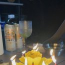 합강캠핑장(프리캠핑존) 이미지