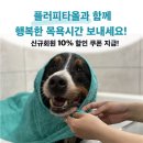 성상1리 | 춘천애견훈련 강아지 타올 후기 &#39;준독트레이닝센터&#39;