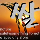 농업회사법인주식회사 자연과전남 이미지