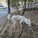 구르미교육 이미지
