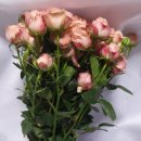 만봉농장 이미지