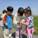 애기똥풀 어린이집 이미지