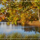 유성정신건강의학과의원 이미지