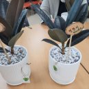 군포e비즈니스고등학교 이미지