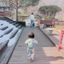 별무리목장 | 아기랑 여행(둔내 맛집 자매식당, 국립청태산자연휴양림, 1765 삽교, 평창한우다래, 횡성별무리펜션)