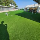 휴먼앤독 이미지