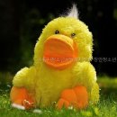 장안청소년문화의집 | 수원시청소년상담복지센터 장안청소년상담실 상담실 가봤더니 정말 좋았어