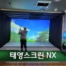 태영스크린 이미지