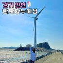 7월13일(일)여름아물렀거라,서해바다2탄!!만원의행복대부도투어 이미지