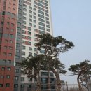 미사123공인중개사사무소 이미지