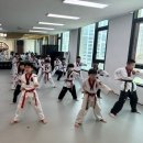 호랑이들 태권도장 이미지