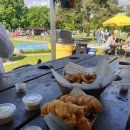 메이플피시 이미지