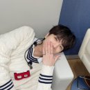 히얼퍼피 이미지