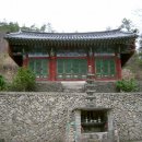 돌담 더 한국타임즈