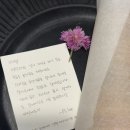 푸레 | [공지] 제주도 서쪽 가성비 있는 감성숙소 “푸레(pulae)“ 2번방 후기