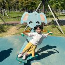 장자산체육공원 | 부산시민공원 행사 주차팁 아이와 놀이터정보 에어바운스 모래놀이