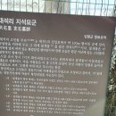 대석리 지석묘군 이미지