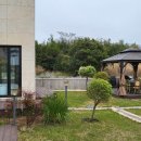 플랜트101 이미지