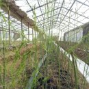 시진농장 이미지