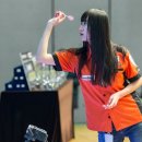 피닉스다트 이미지