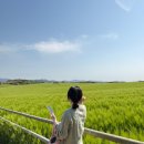오천냥식당 | 광주 근교 가볼만한 곳-고창 [청보리밭축제] 다녀온 후기 레츠고