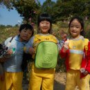 증안초교 병설유치원 이미지